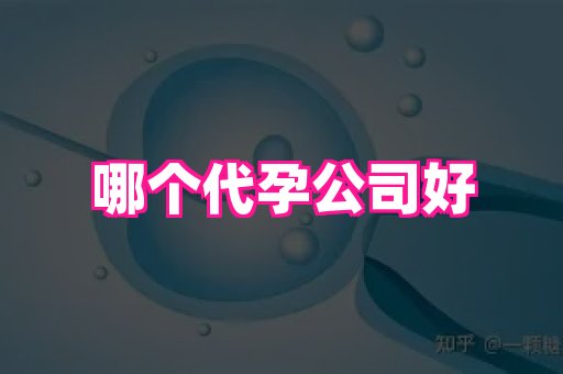 武汉助孕网站 1
